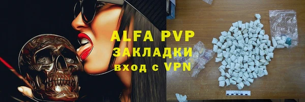 прущие грибы Бронницы