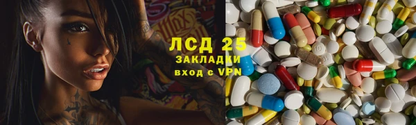 прущие грибы Бронницы