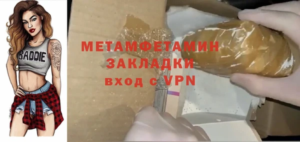 прущие грибы Бронницы