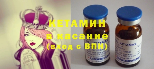 прущие грибы Бронницы