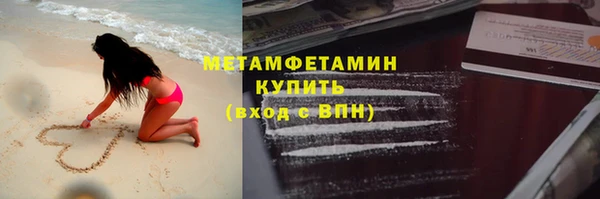 прущие грибы Бронницы