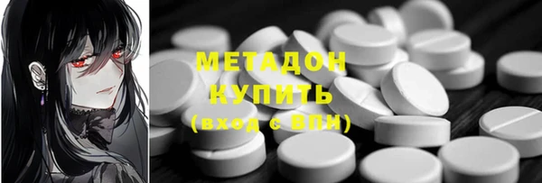 прущие грибы Бронницы