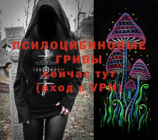 apvp Бородино