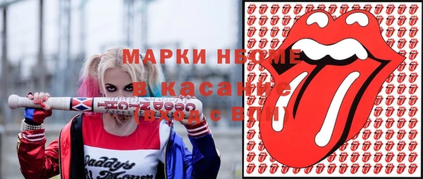 прущие грибы Бронницы