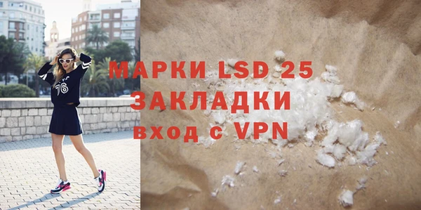 прущие грибы Бронницы