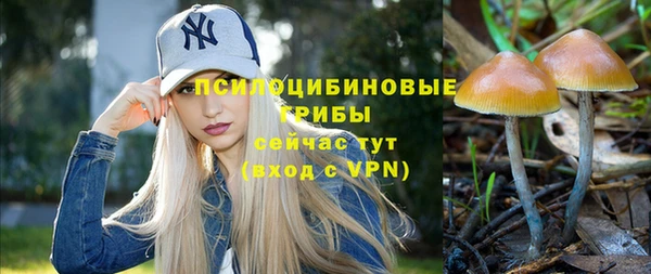 ALPHA PVP Бугульма