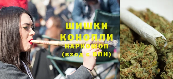 apvp Бородино
