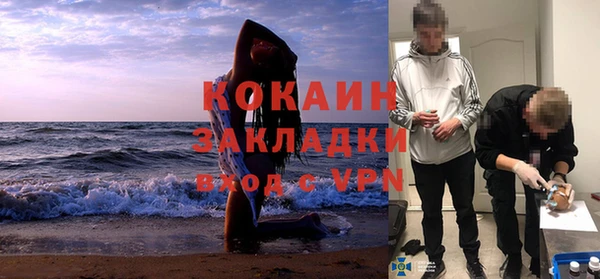apvp Бородино