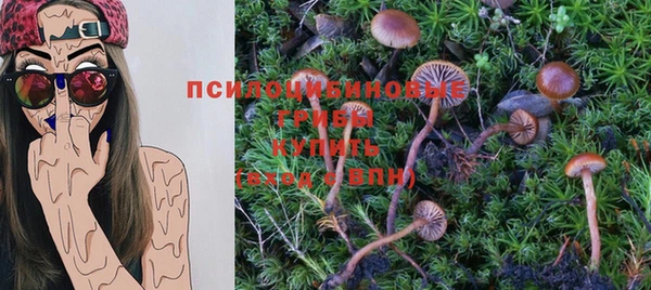 apvp Бородино