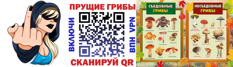 Псилоцибиновые грибы Magic Shrooms  Купить закладки  Жуков 